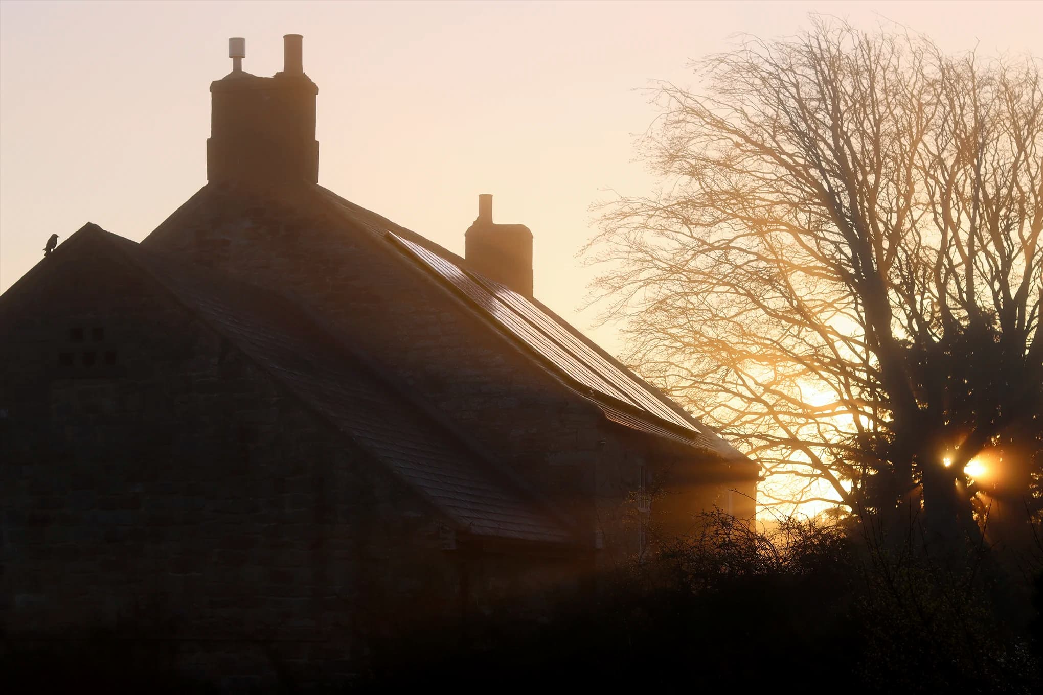 House at sunset with solar panels installed, showing how Utilita Optimise automates charging during changing Spring weather.